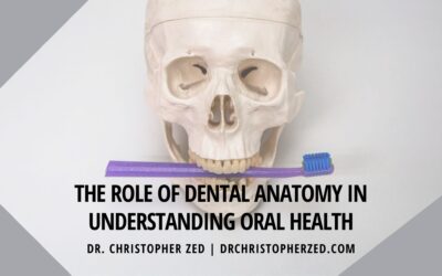 The Role of Dental Anatomy in Understanding Oral Health